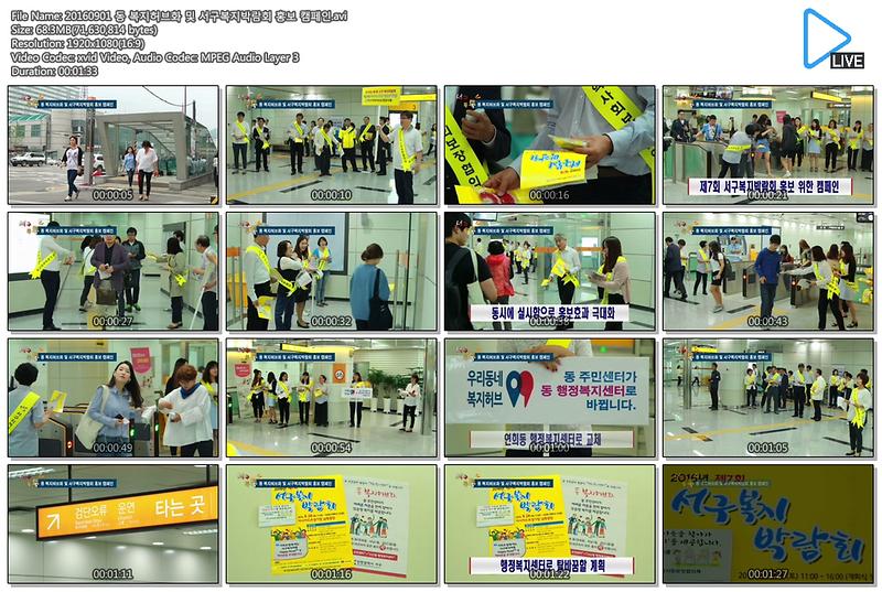 [서구톡톡] 동 복지허브화 및 서구복지박람회 홍보 캠페인 사진